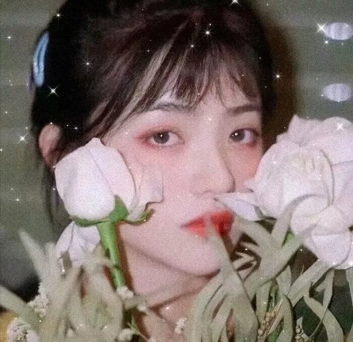 绿箭侠第八季